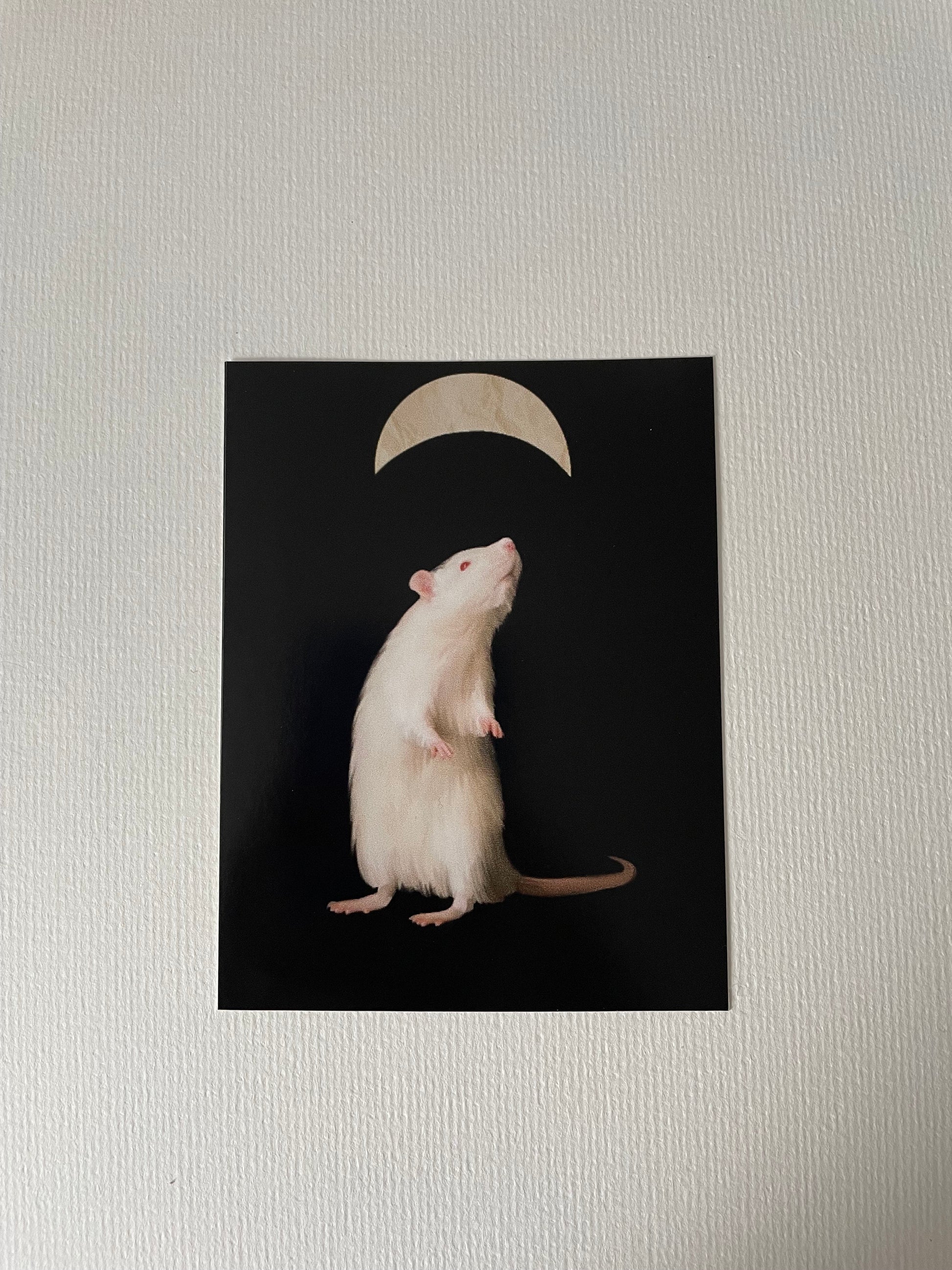 Moon Mouse Vinyl Sticker
