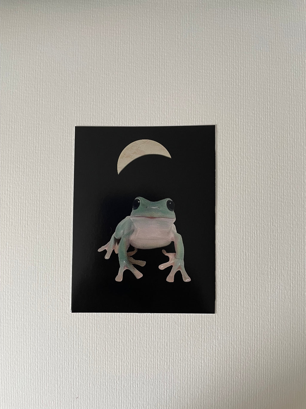 Moon Frog Vinyl Sticker