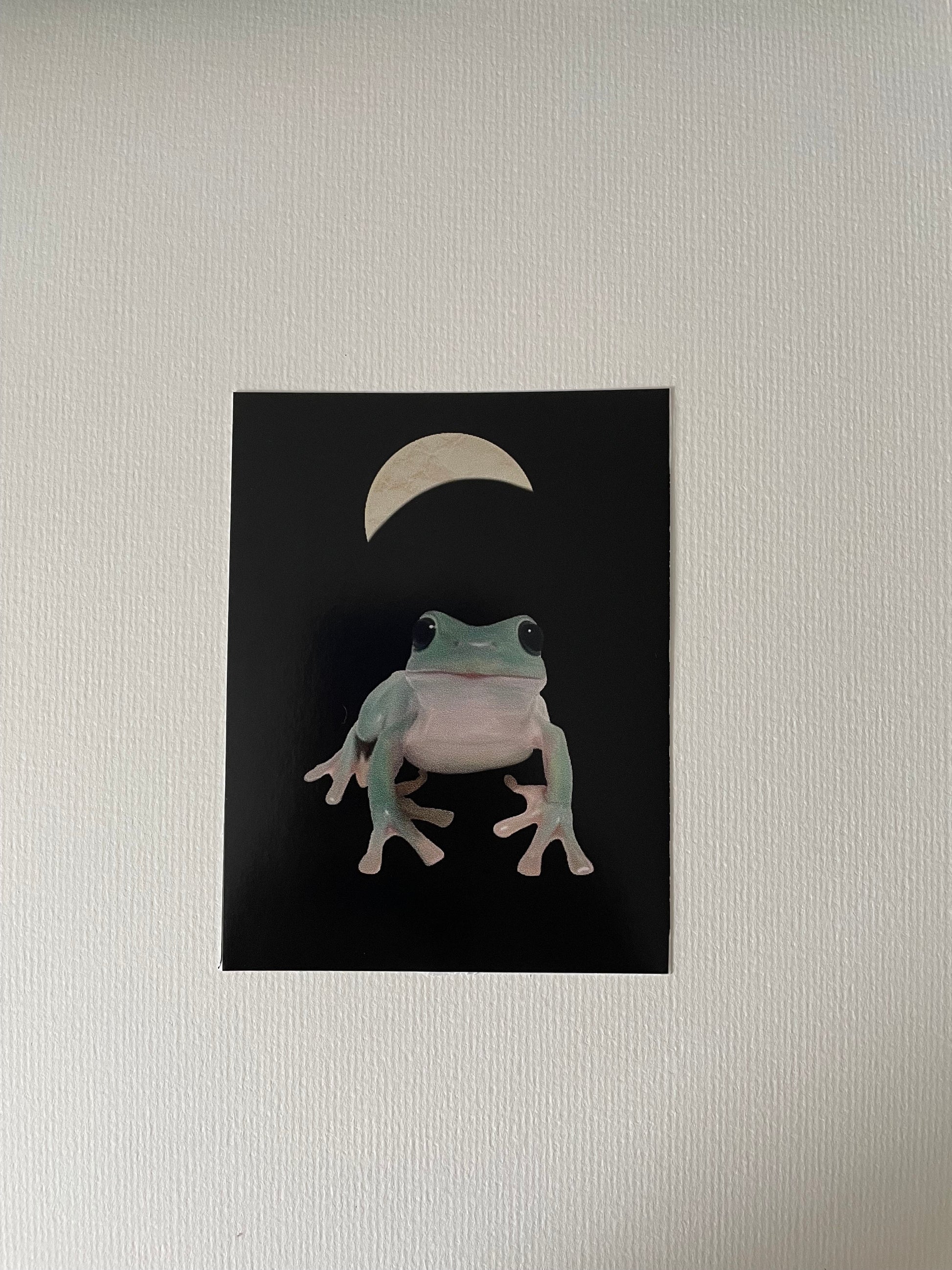 Moon Frog Vinyl Sticker
