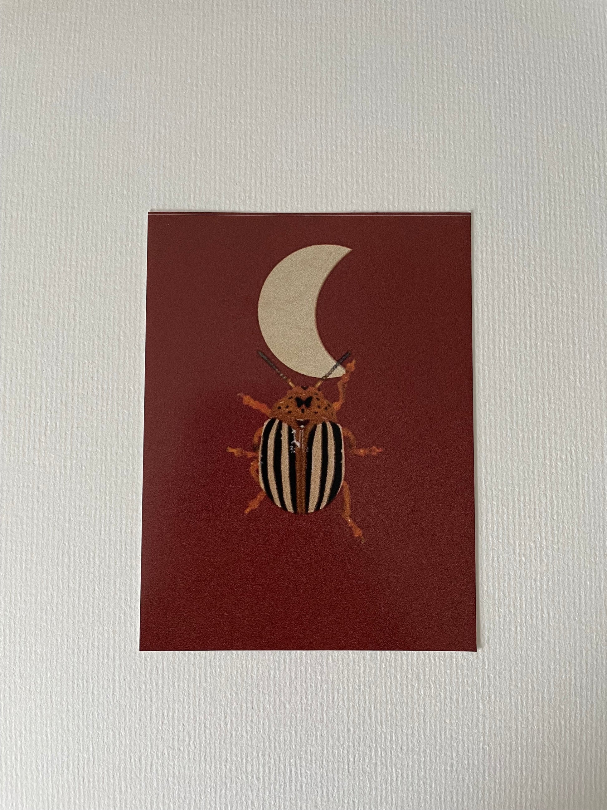 Moon Beetle Vinyl Sticker