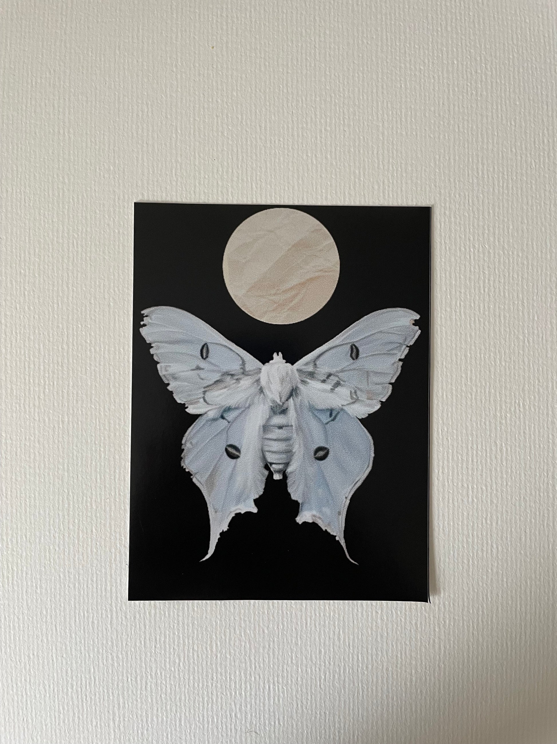 Moon Moth Vinyl Sticker