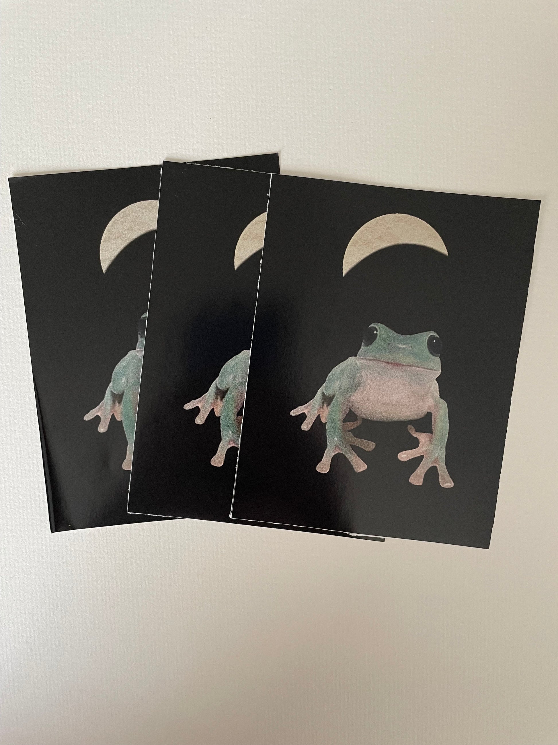 Moon Frog Vinyl Sticker