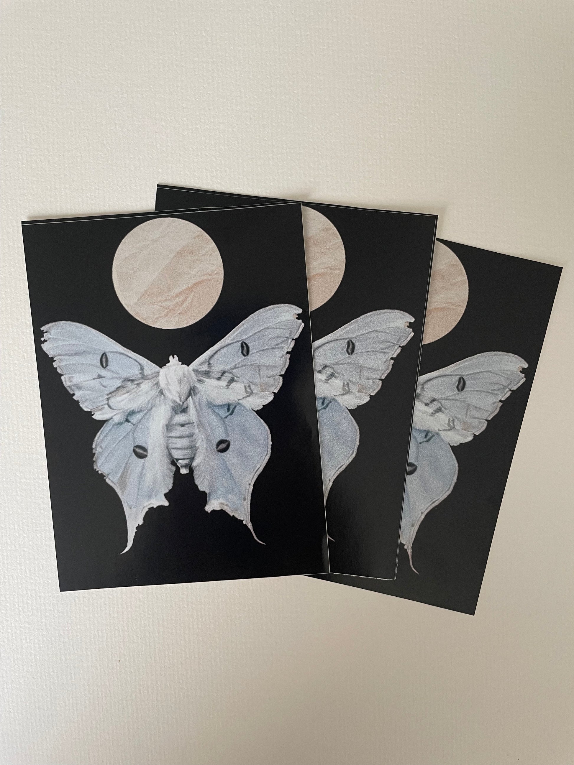 Moon Moth Vinyl Sticker