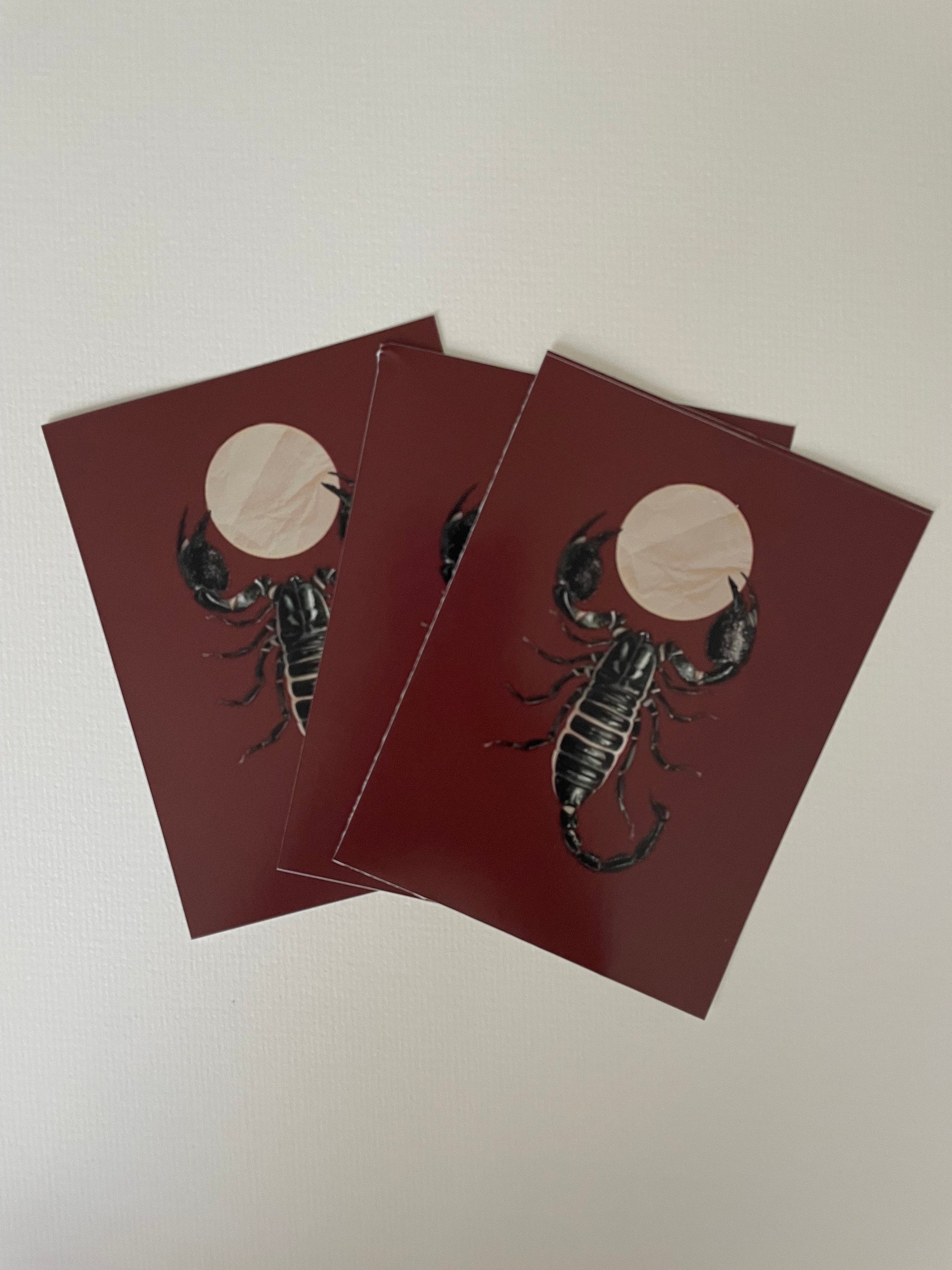 Moon Scorpion Vinyl Sticker