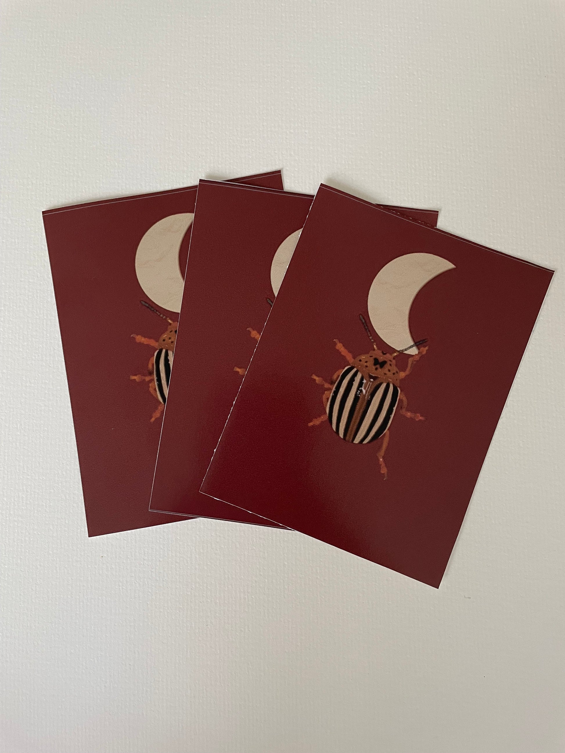 Moon Beetle Vinyl Sticker
