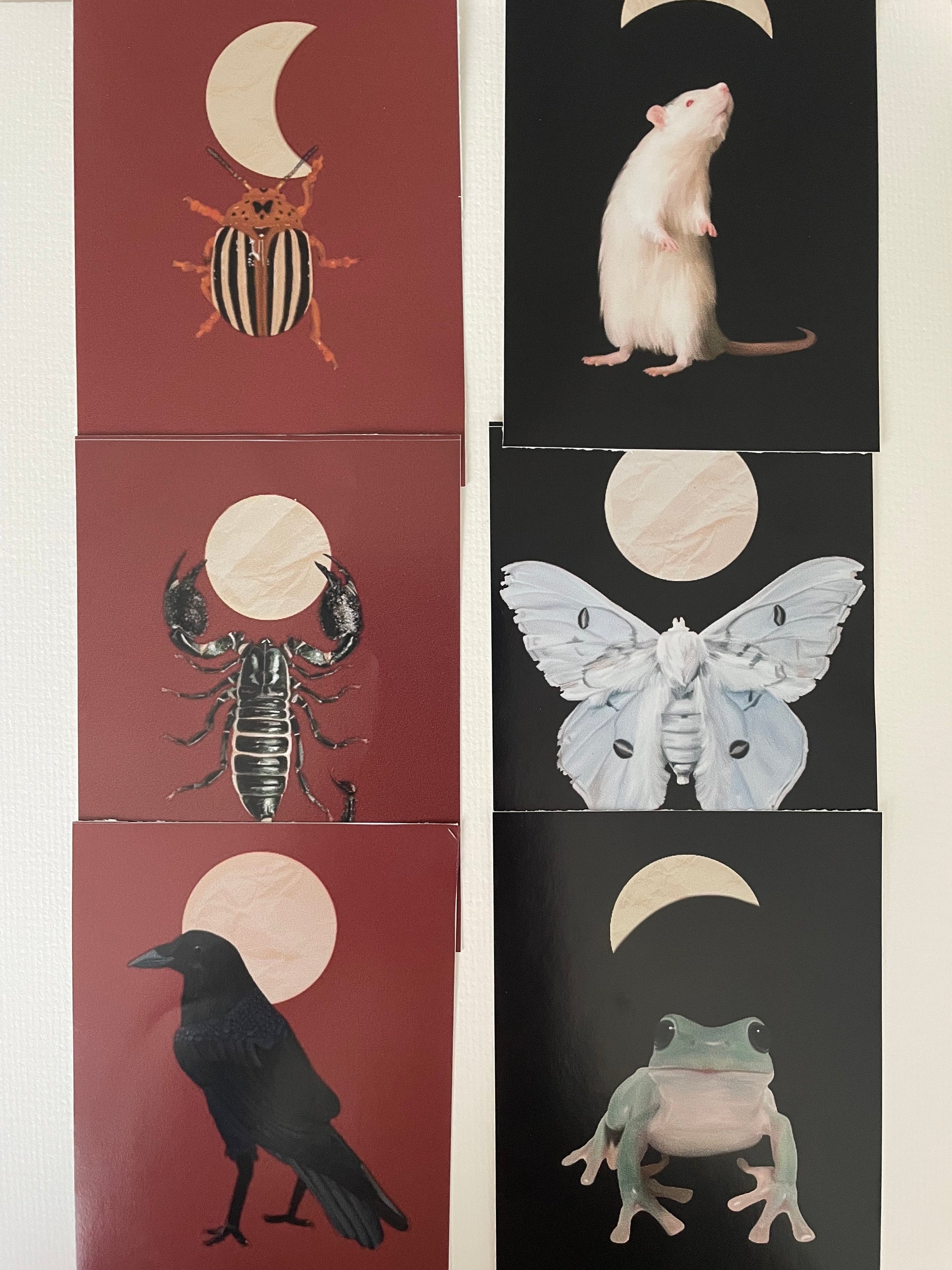 Moon Creatures 6 Sticker Count Pack