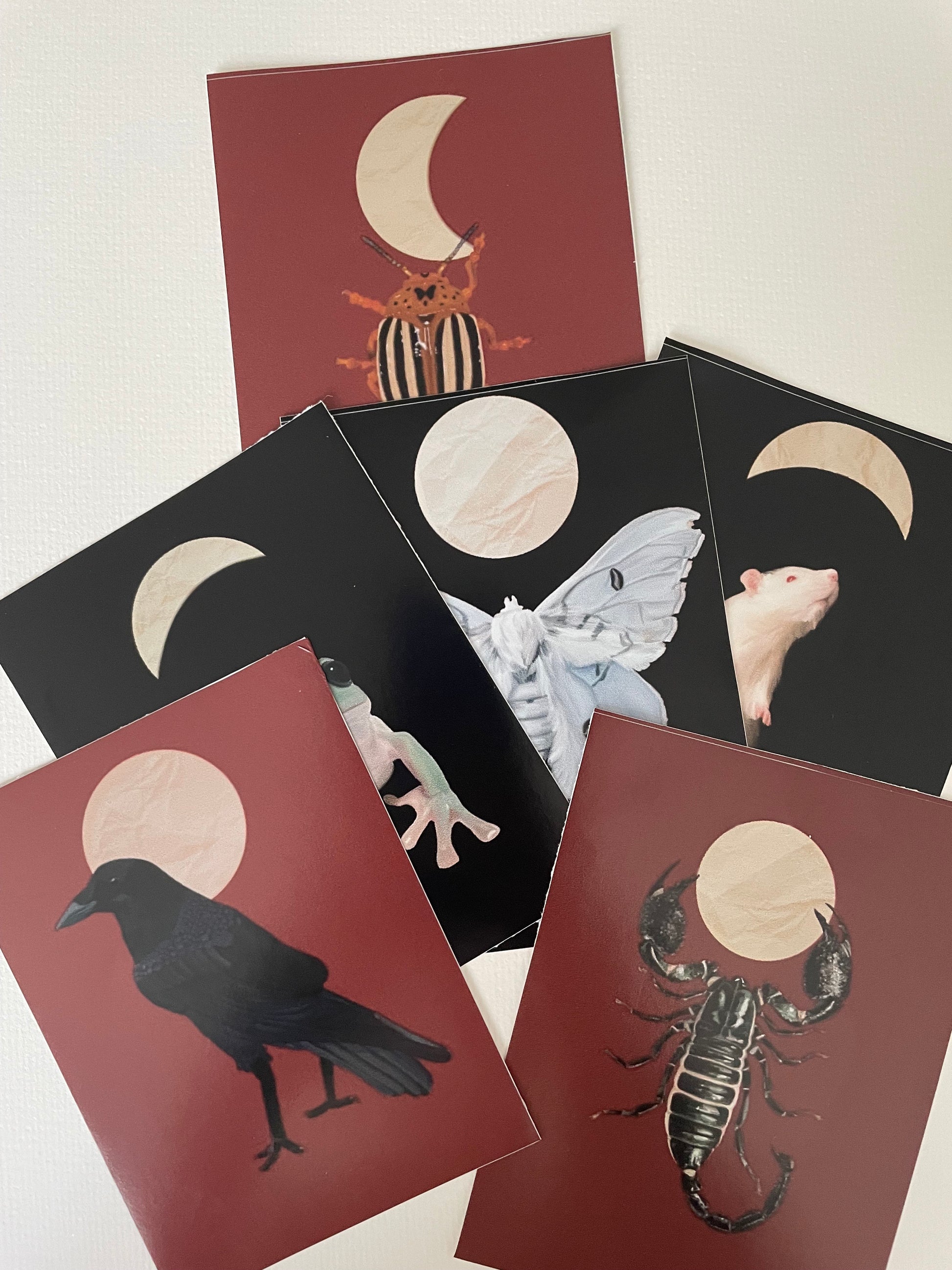 Moon Creatures 6 Sticker Count Pack