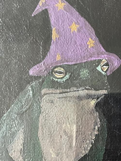 "wizard toad" original framed canvas